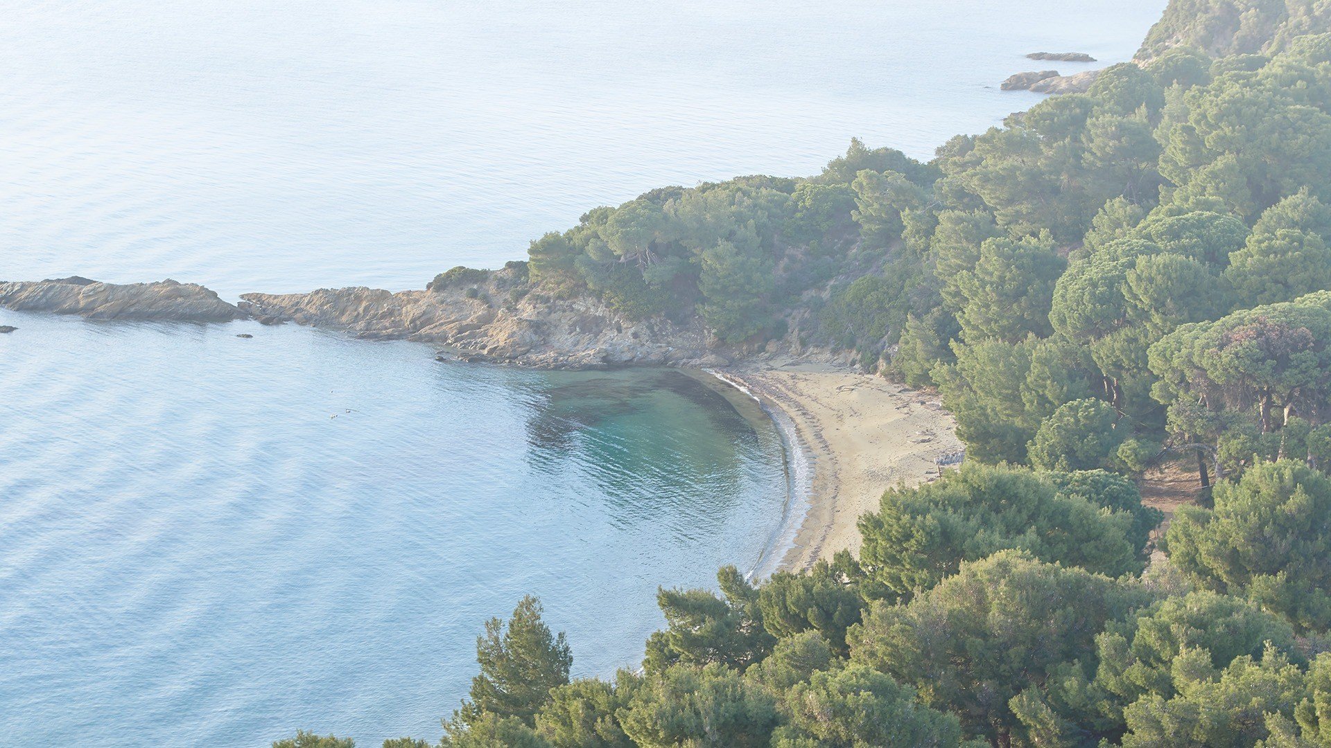 Beaches in Skiathos