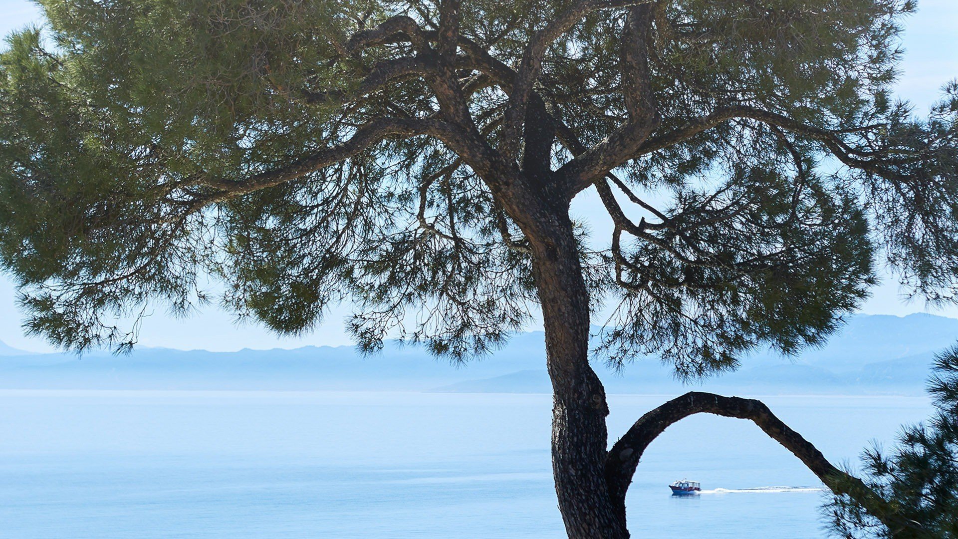 Sea in Skiathos