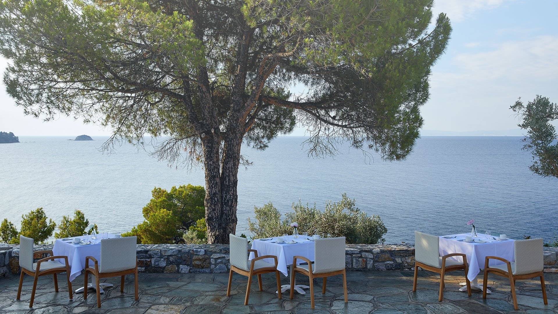 xenia skiathos restaurant