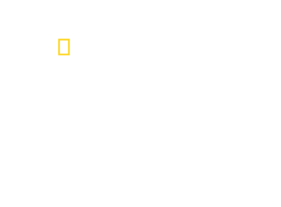 featured experience national geographic